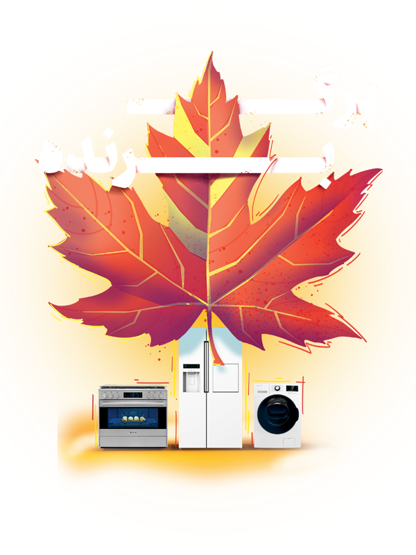 بازی برگ برنده